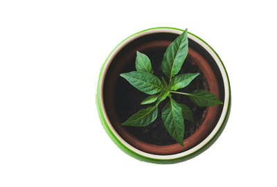 Agile frameworks are very clear on <em>what </em>you should do, and in many cases, <em>how</em> you should do it. But there's no approach that systematically describes how to make it actually work; because <strong>you're missing an understanding of what prevents Agile from working, and how to address it.</strong><br><br>You don't go toward agility unless you do have a systematic approach around how to bring an agile culture and agile behaviors into reality. <strong>It's behaviors that make it work, not the process.</strong>